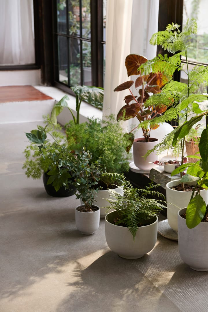 Pot Collect SC72 tall Ø20 cm, Milk &Tradition