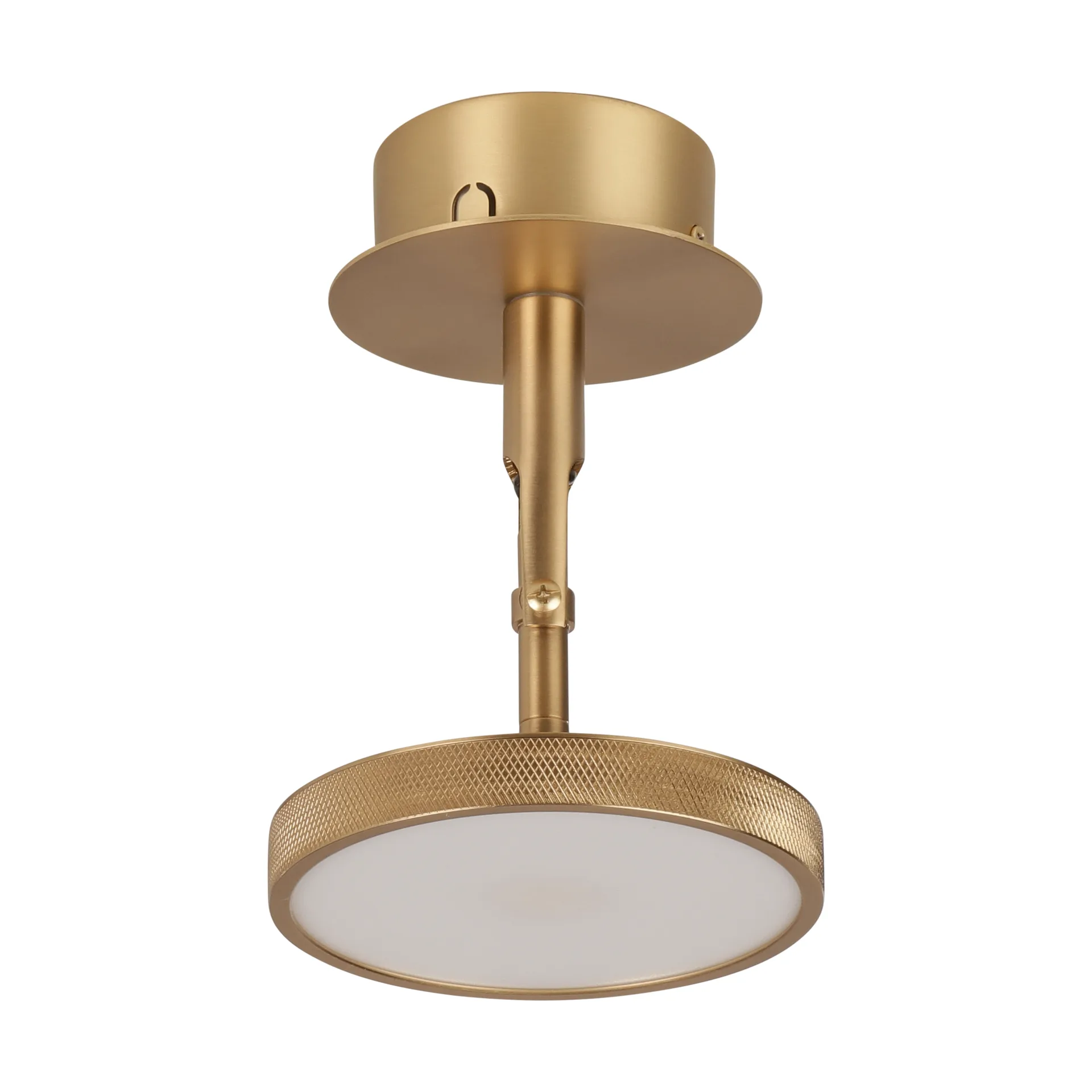 Plafonnier et applique murale Asteria Spot Ø12 cm, Polished brass Umage
