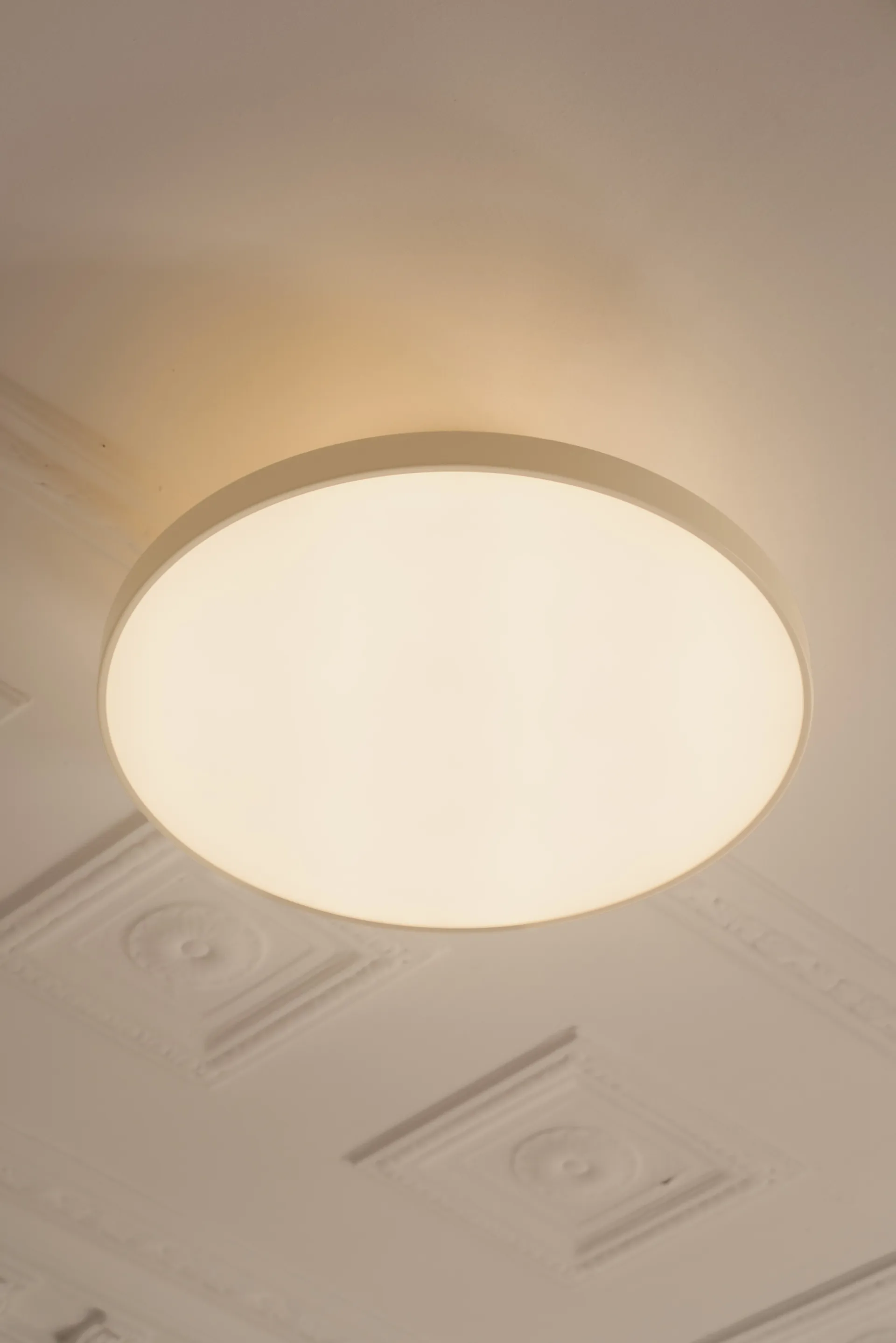 Up plus mini Asteria, Anthracite Umage