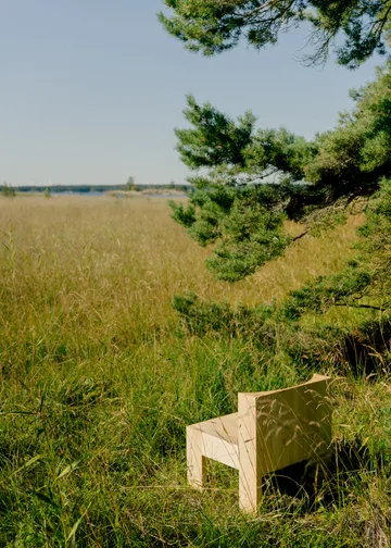 Fauteuil lounge 005 Lounge Chair - Pin en huile-cire mat - Vaarnii