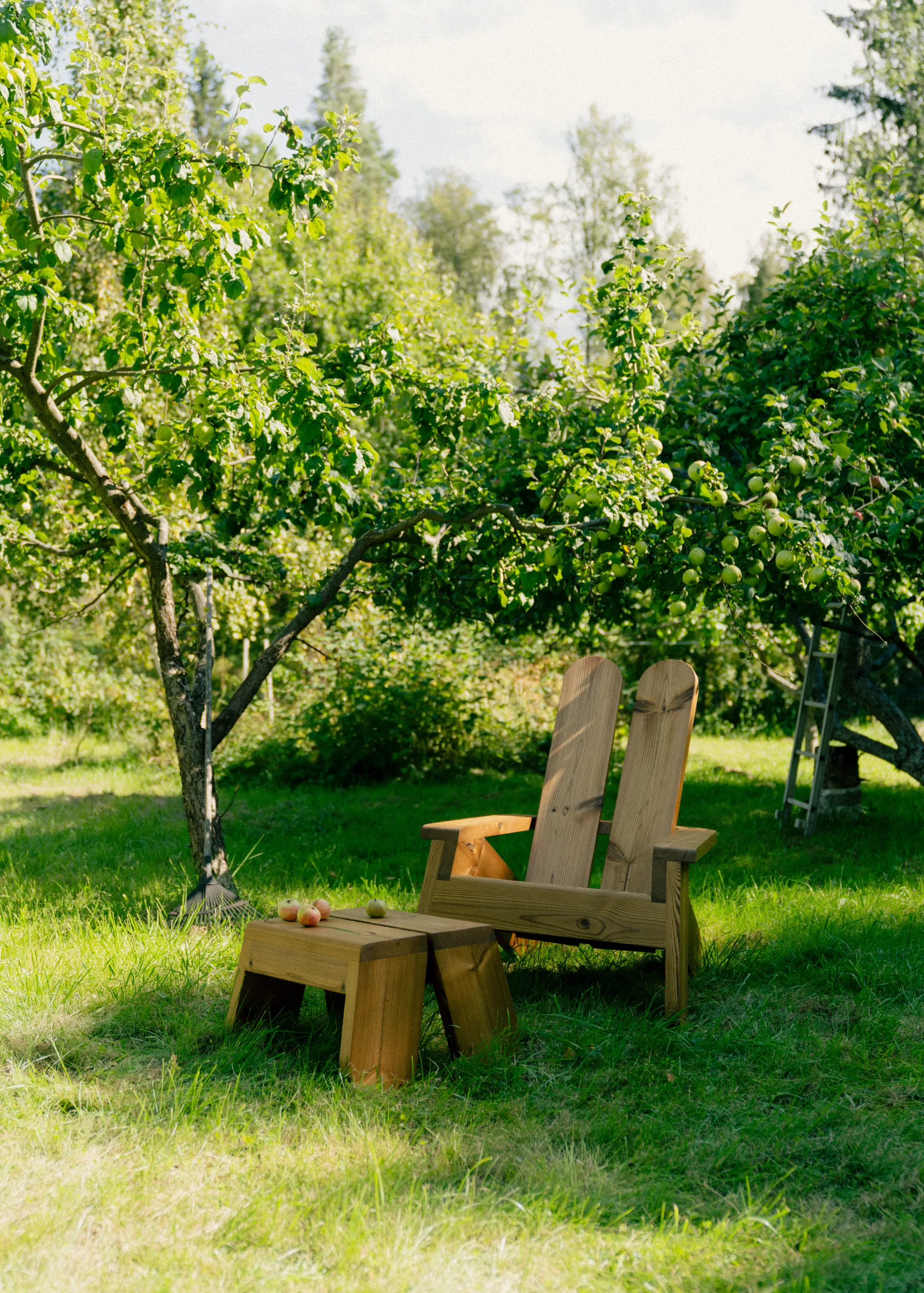 Fauteuil lounge 015 Peace Outdoor Lounge Chair, Pin traité thermiquement Vaarnii