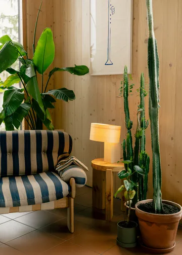 Lampe de table 018 Hoop Table Lamp - Pin en huile-cire mat, 23 cm - Vaarnii