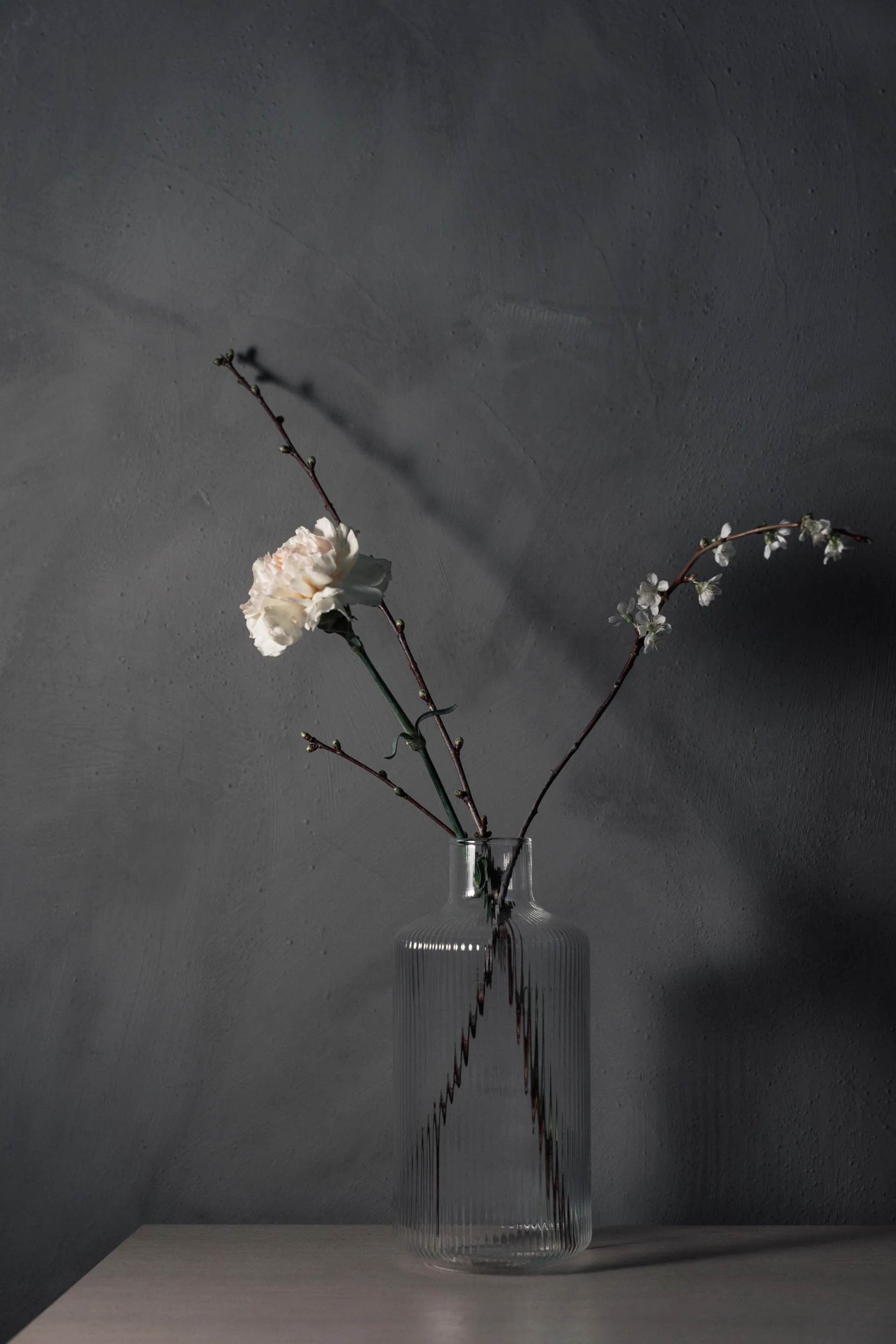 Carafe YKON 1,5 L, Transparent Vargen & Thor