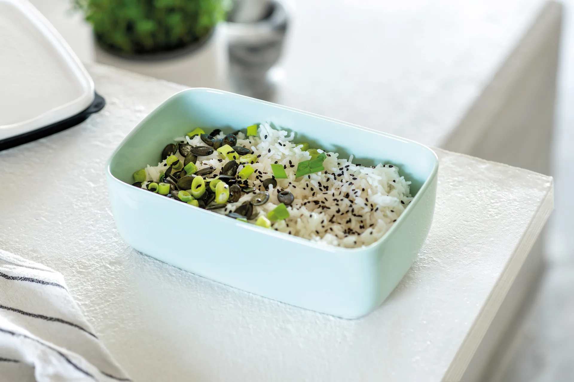 Boîte à déjeuner To Go & To Stay porcelaine L 13x20 cm, Mineral Villeroy & Boch