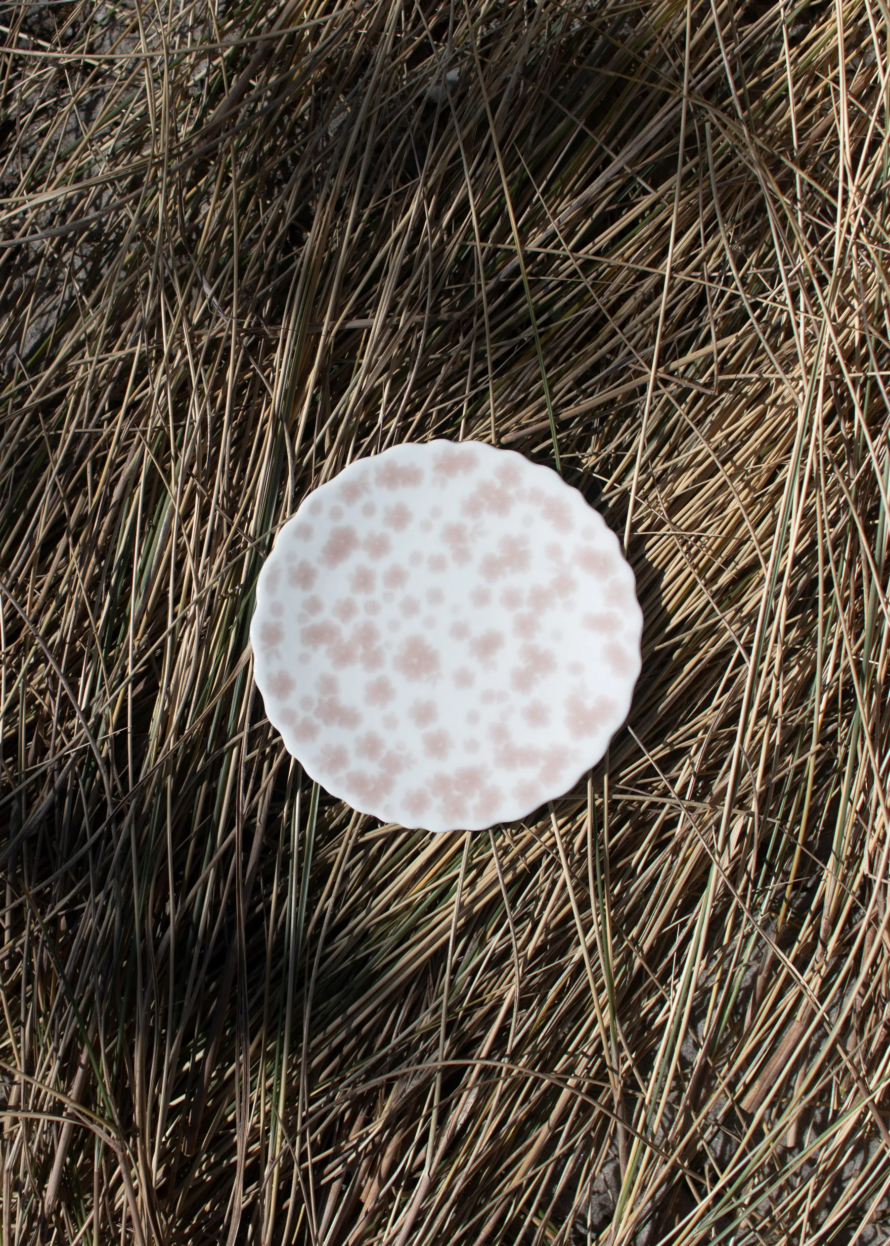 Assiette Slåpeblom Ø13 cm, Rose Wik & Walsøe