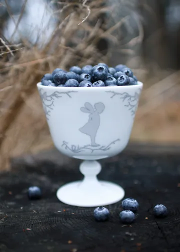 Bol à dessert sur pied Alv Ø11 cm - Argenté - Wik & Walsøe