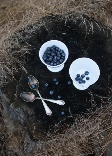 Bol à dessert sur pied Alv Ø11 cm - Argenté - Wik & Walsøe
