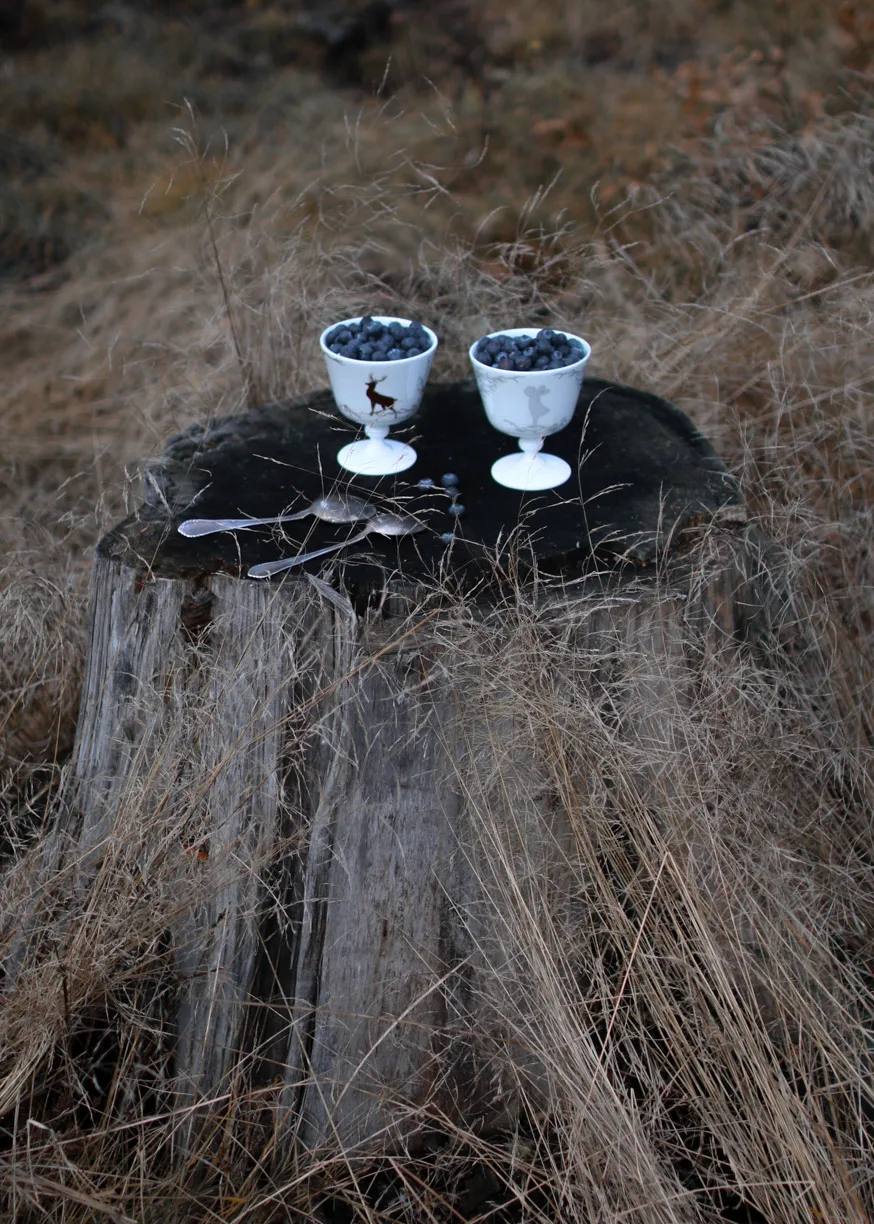 Bol à dessert sur pied Alveskog Ø11 cm, Blanc Wik & Walsøe