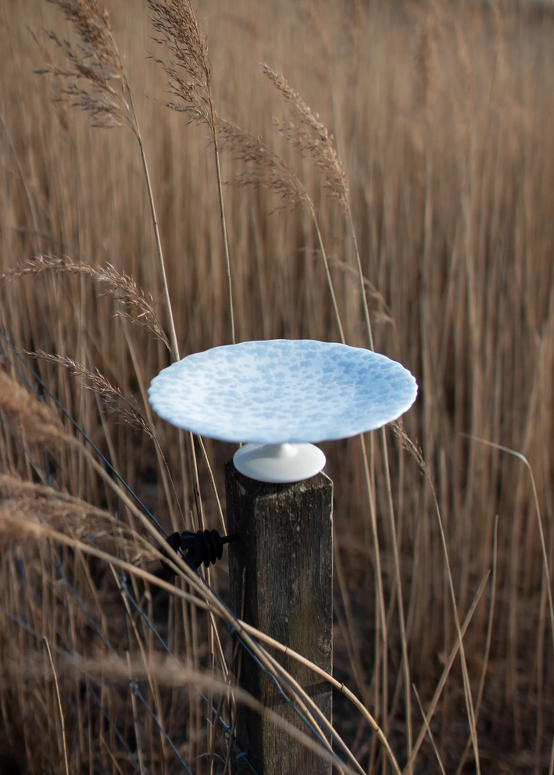 Plat à tarte Slåpeblom Ø21 cm, Bleu Wik & Walsøe