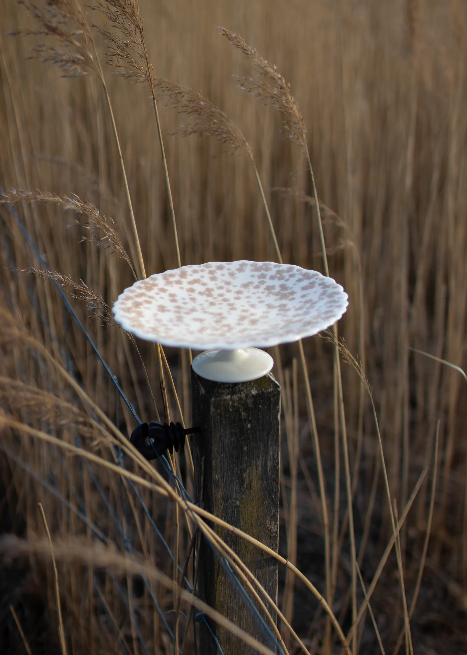 Plat à tarte Slåpeblom Ø21 cm, Rose Wik & Walsøe