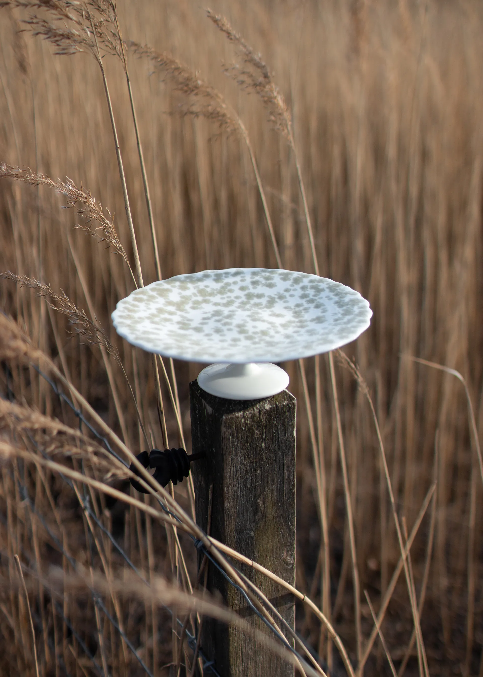 Plat à tarte Slåpeblom Ø21 cm, Vert Wik & Walsøe