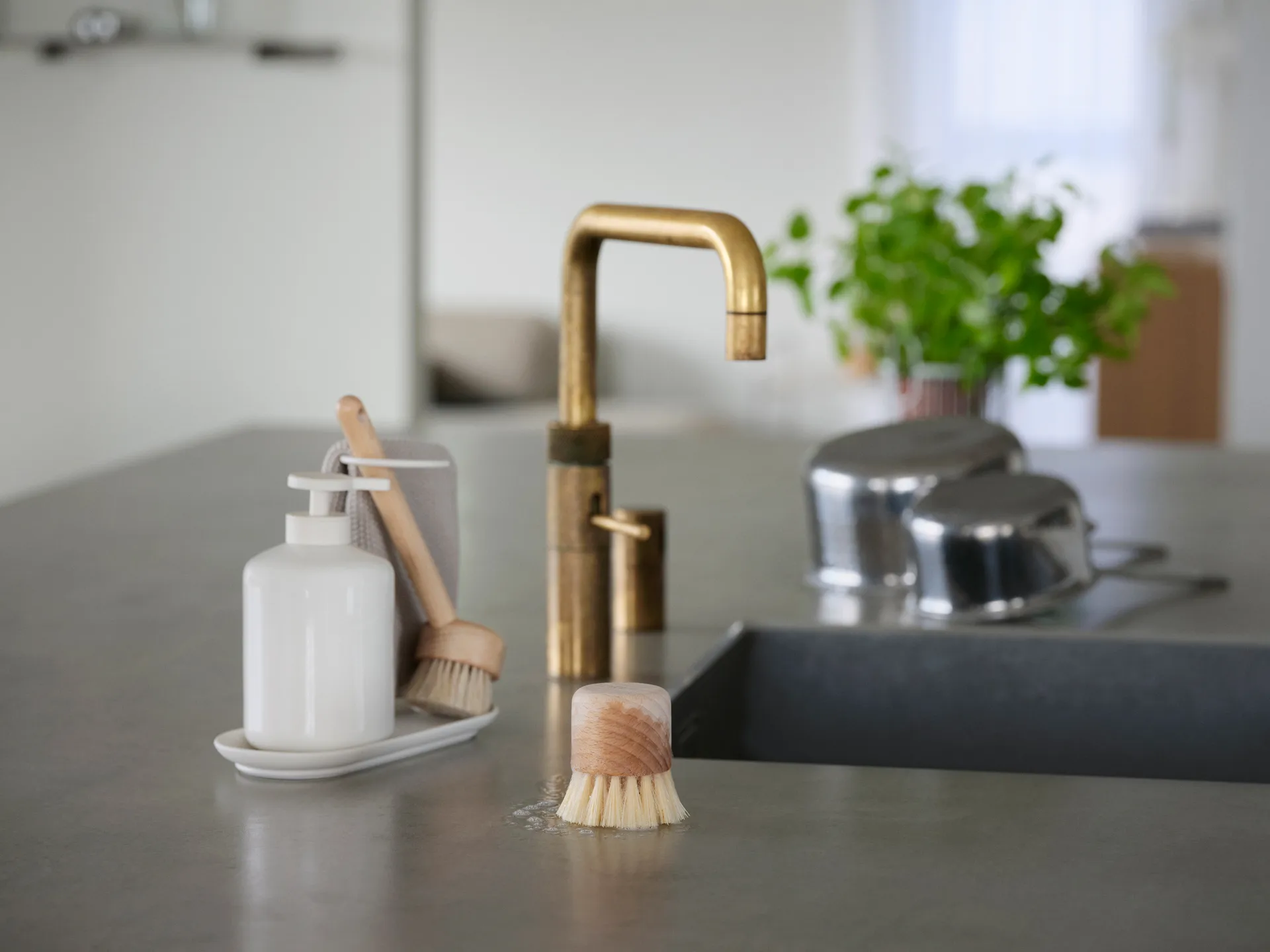 Brosse à vaisselle Inu, Hêtre Zone Denmark