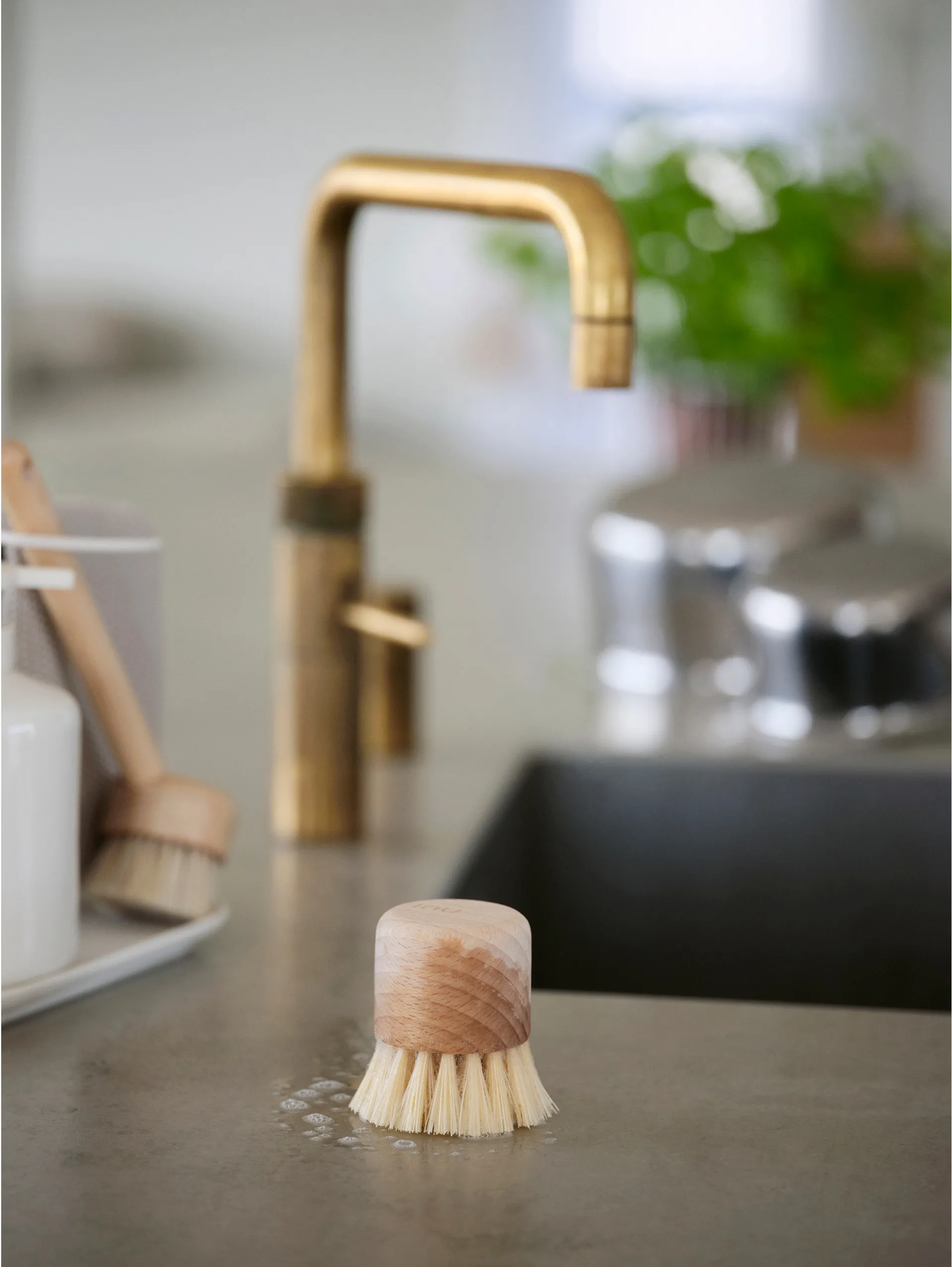 Brosse à vaisselle Inu, Hêtre Zone Denmark