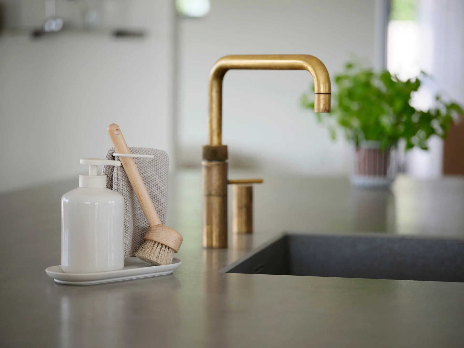 Brosse à vaisselle Inu, Hêtre Zone Denmark