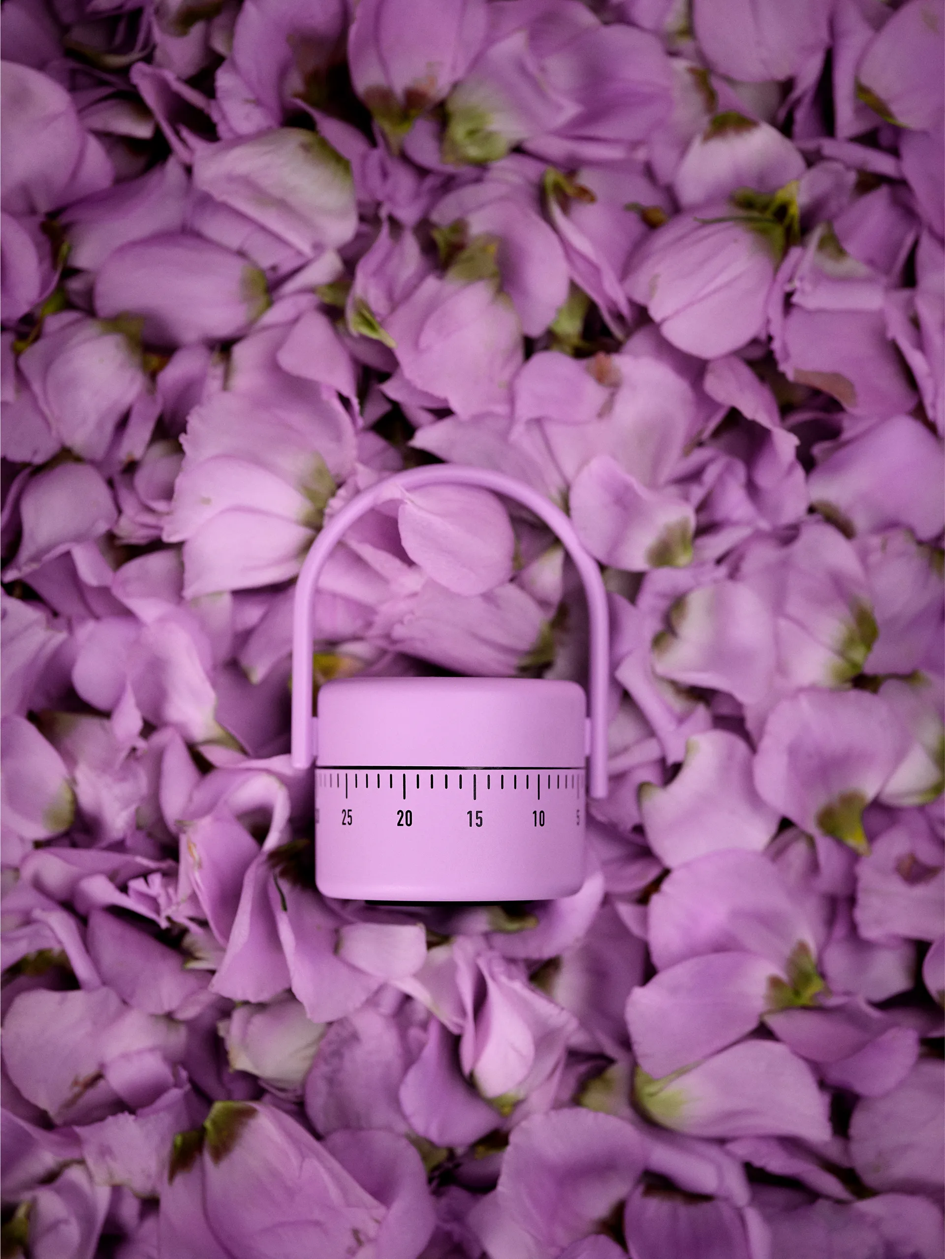 Minuteur à oeuf Zone Singles, Lupine Zone Denmark