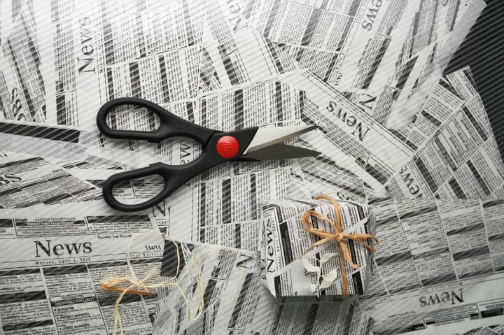 Ciseaux universels Zwilling Twin, 20 cm Zwilling