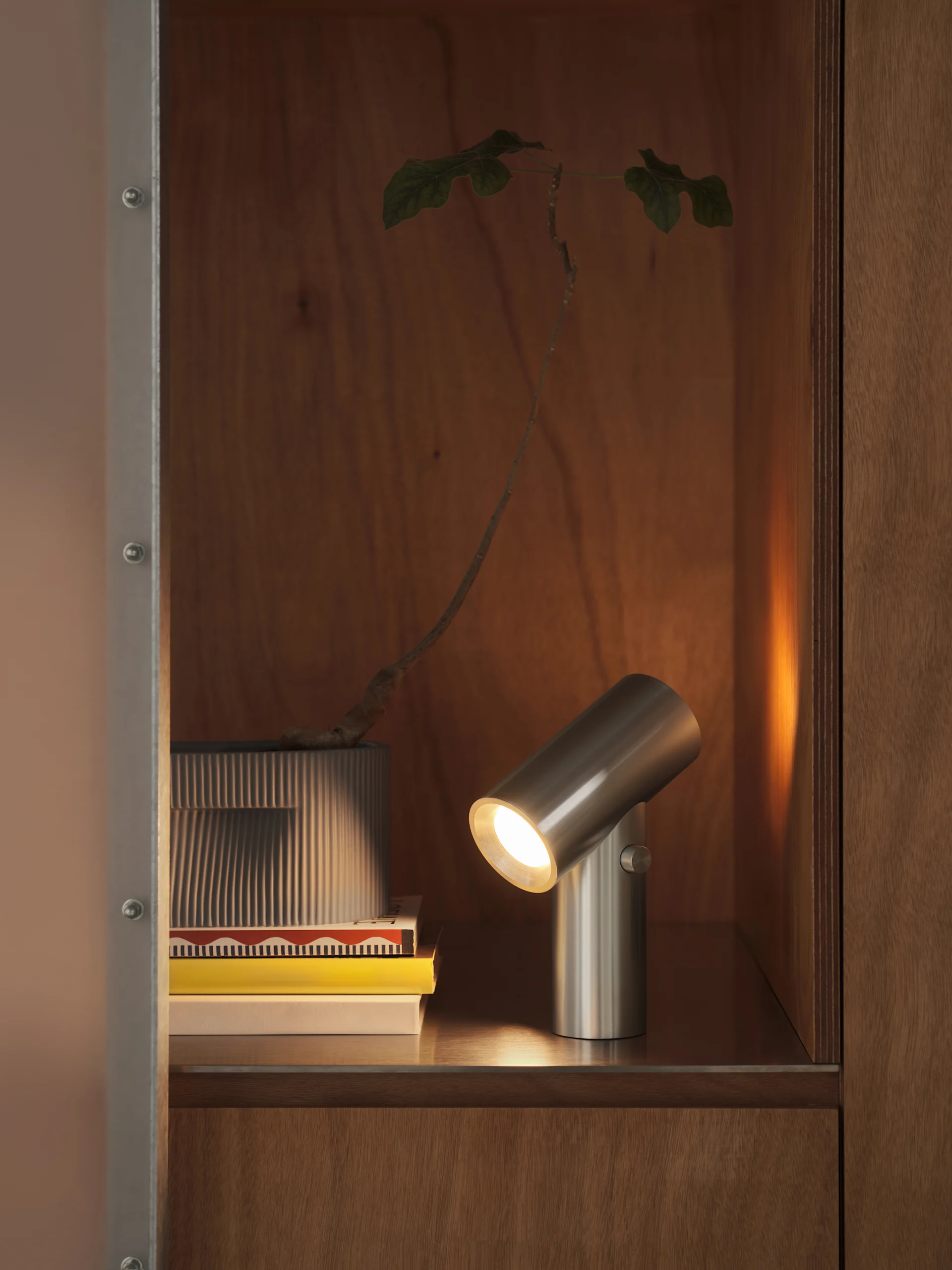 Une lampe cylindrique en métal brossé illumine une pile de livres et une plante dans un pot cannelé, à l'intérieur d'une armoire en bois.