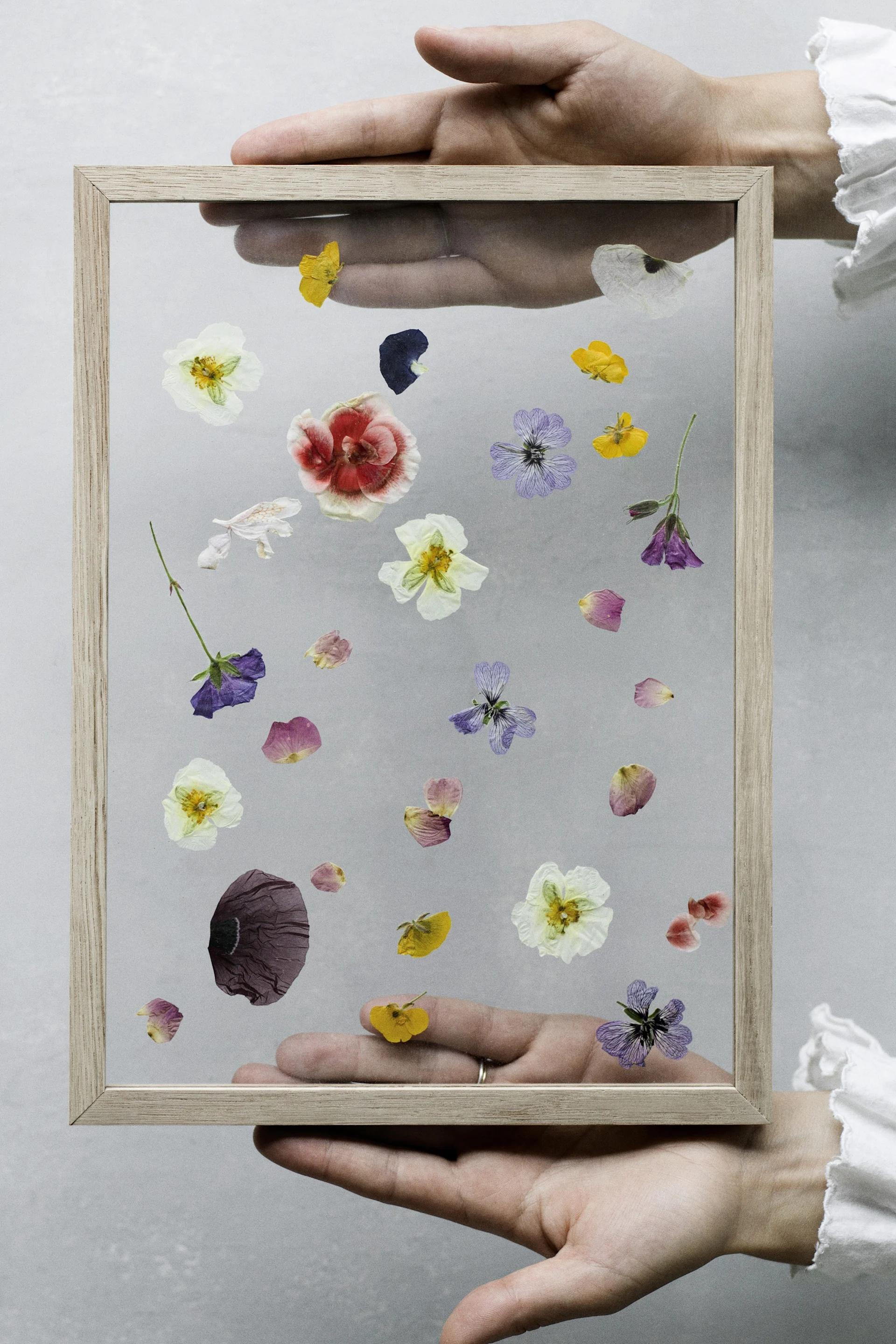 Mains tenant un cadre en bois clair avec des fleurs et pétales pressés colorés sur un fond gris.