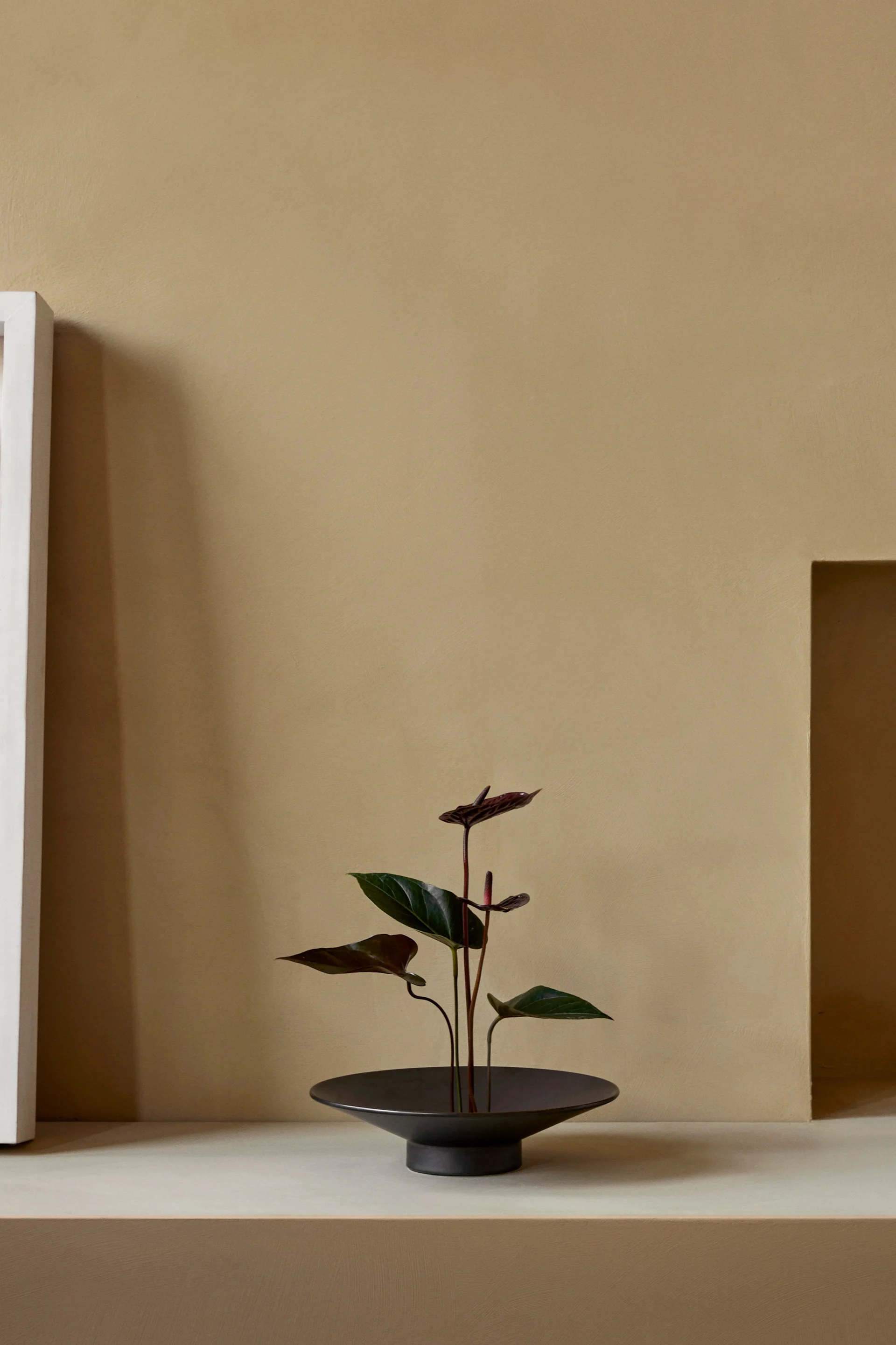 Un intérieur minimaliste avec une plante vert foncé à fleurs rouge foncé dans un bol noir sur une étagère beige clair contre un mur beige.