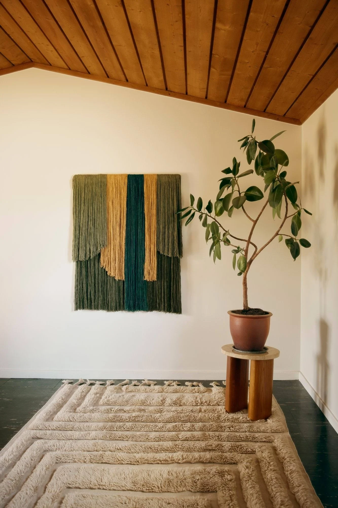 Une pièce décorée d'un tissu texturé vert, doré et bleu sarcelle, d'une plante en pot et d'un tapis beige duveteux aux motifs géométriques.