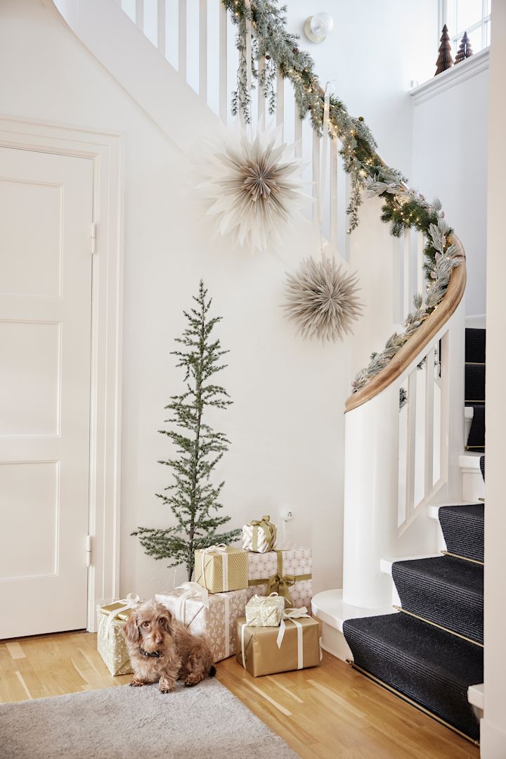 Les lanternes en papier en forme d'étoile pour Noël suspendues dans un escalier au-dessus d'un sapin de Noël, d'une pile de cadeaux et d'un petit chien. 