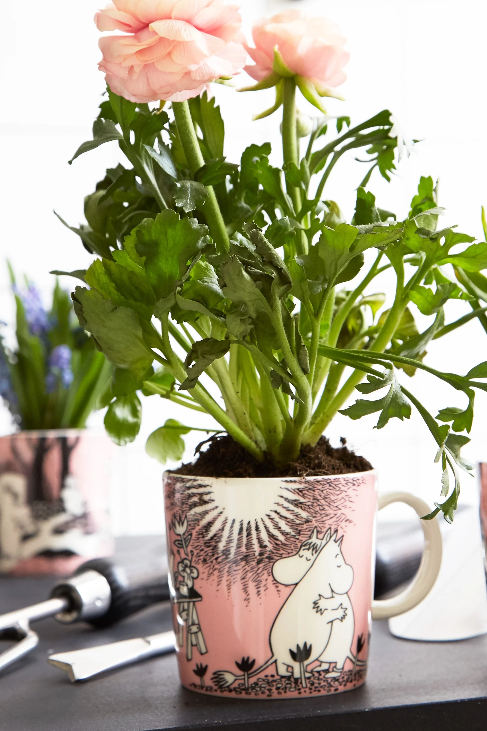 Un bouquet de roses a été planté dans la coupe Moomin « Love ».