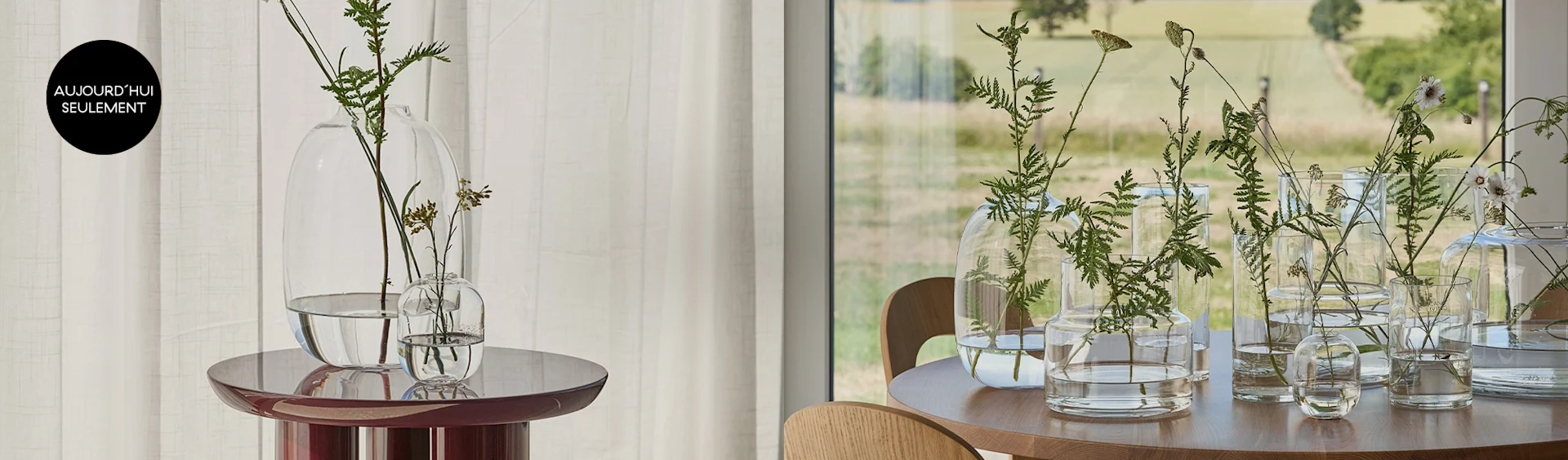 Vases en verre transparent avec des plantes vertes sur une table marron et une table en bois, avec une étiquette 'Today Only'.