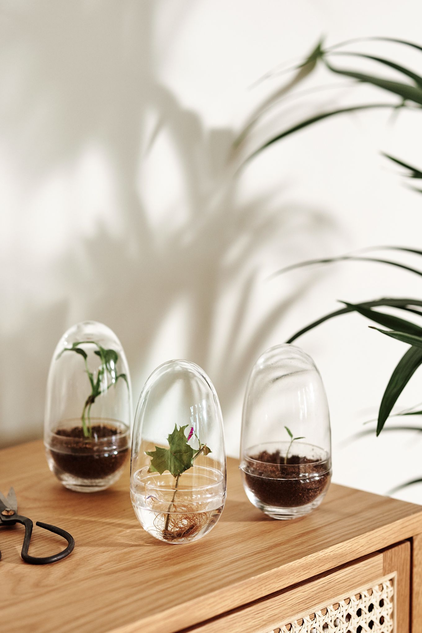Voici une collection de serres de culture de Design House Stockholm en petit format.