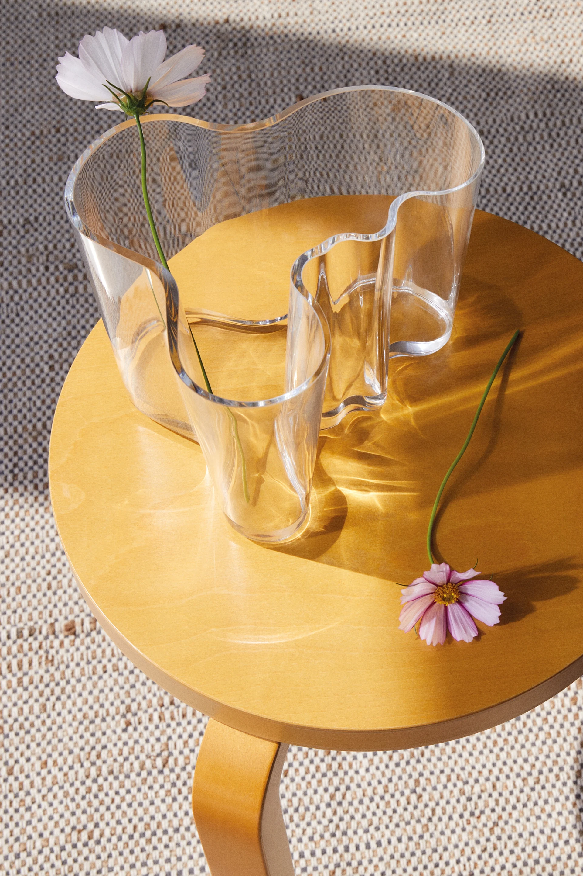 Un vase en verre ondulé transparent avec une fleur blanche sur une table ronde en bois, une fleur rose à côté. Le soleil projette des motifs.