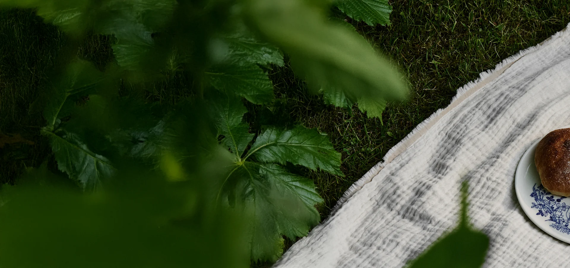 Vue plongeante d'une couverture de pique-nique sur l'herbe sous des feuilles vertes, avec une assiette contenant un pain brioché brun.