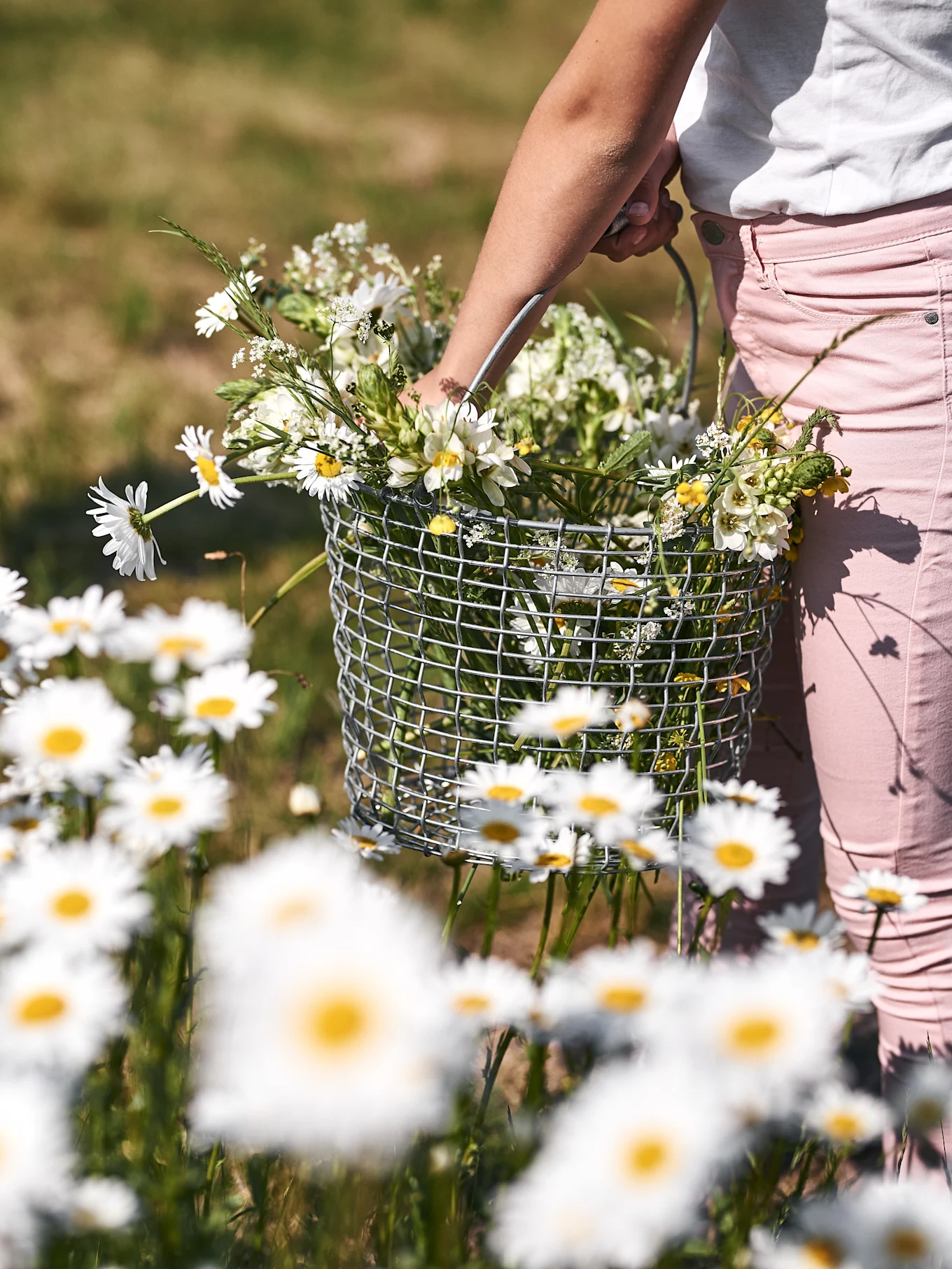 Gros plan d'une personne en pantalon rose tenant un panier en fil métallique rempli de fleurs sauvages blanches et jaunes dans un champ de marguerites.