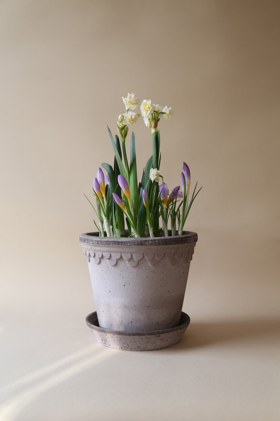 Au lieu d'un bouquet, offrez simplement une plante comme cadeau de fête des mères, comme ce muguet dans un pot gris de la collection Copenhagen de Bergs Potter.
