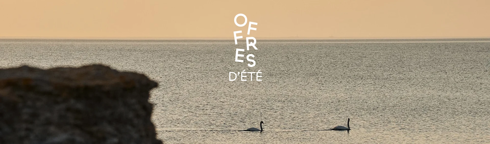 Deux cygnes nagent sur une mer calme sous un ciel doré au lever du soleil, avec le texte "OFFRES D'ÉTÉ".