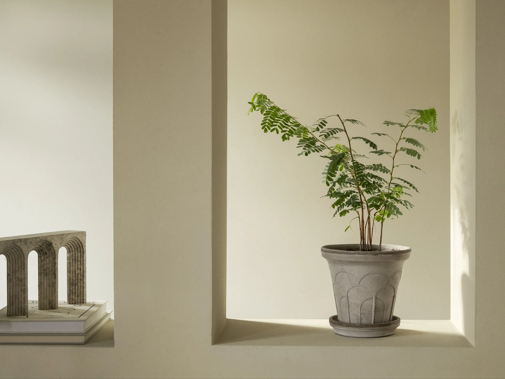 Un intérieur minimaliste avec une plante verte dans un pot gris à motifs dans une niche murale, à côté d'une arche sculpturale sur des livres.
