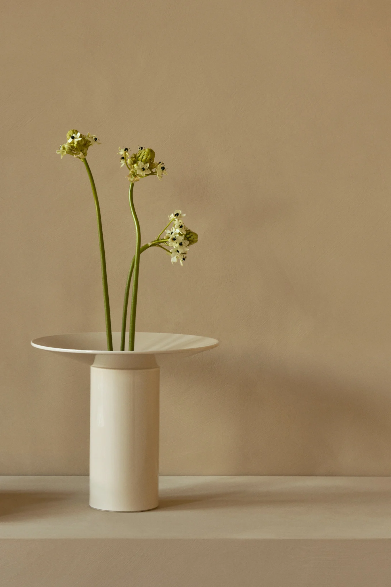 Trois tiges vertes avec de petites fleurs vert clair et blanches dans un grand vase blanc à bord plat et large.