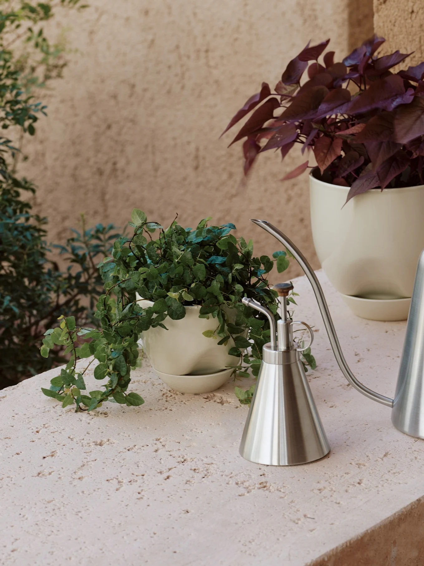 Deux plantes en pot et deux arrosoirs en métal brossé sur une surface texturée de couleur claire.