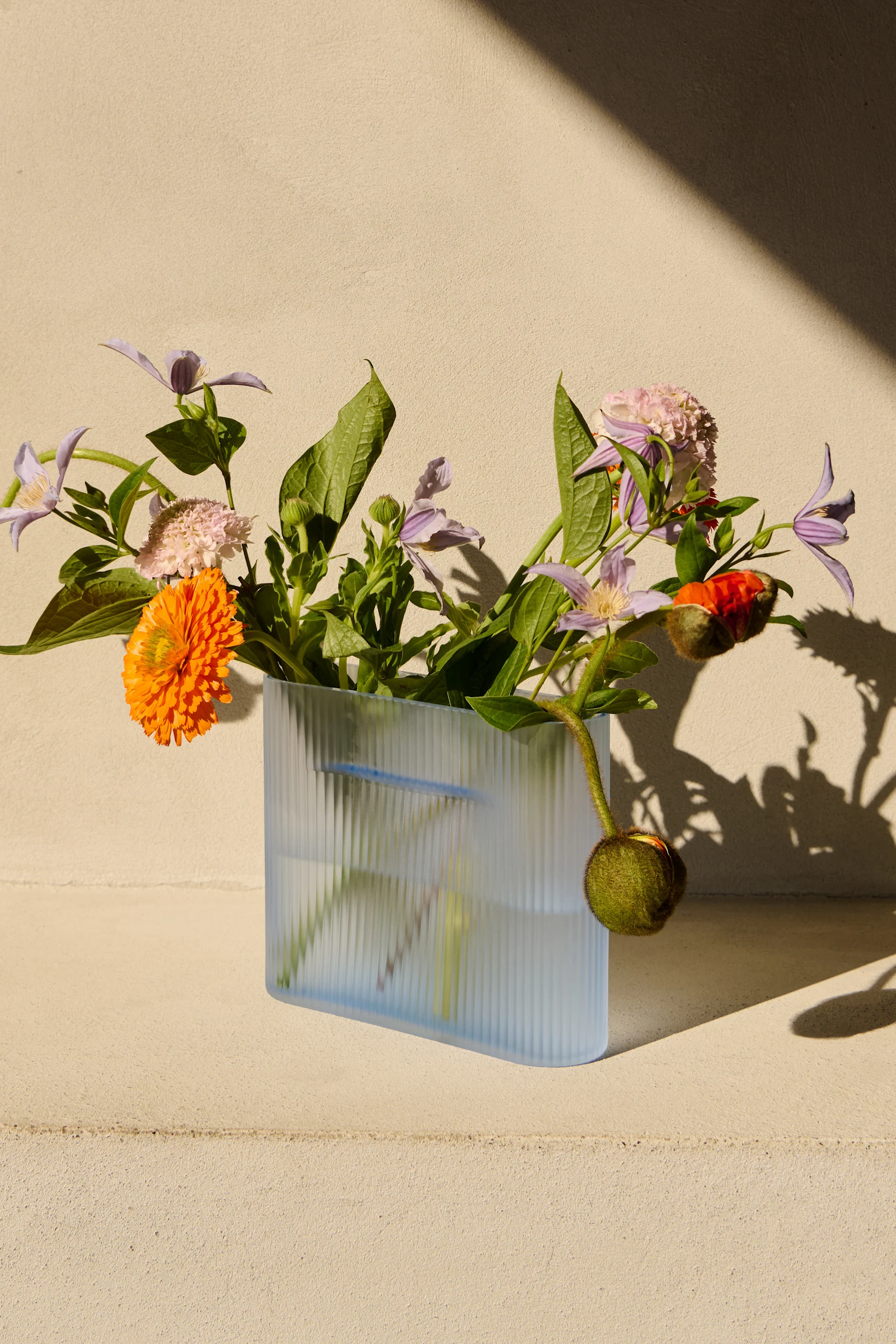Un vase nervuré bleu clair avec une fleur orange, des clématites violettes, une scabieuse rose et un bouton de pavot. Fond beige ensoleillé.