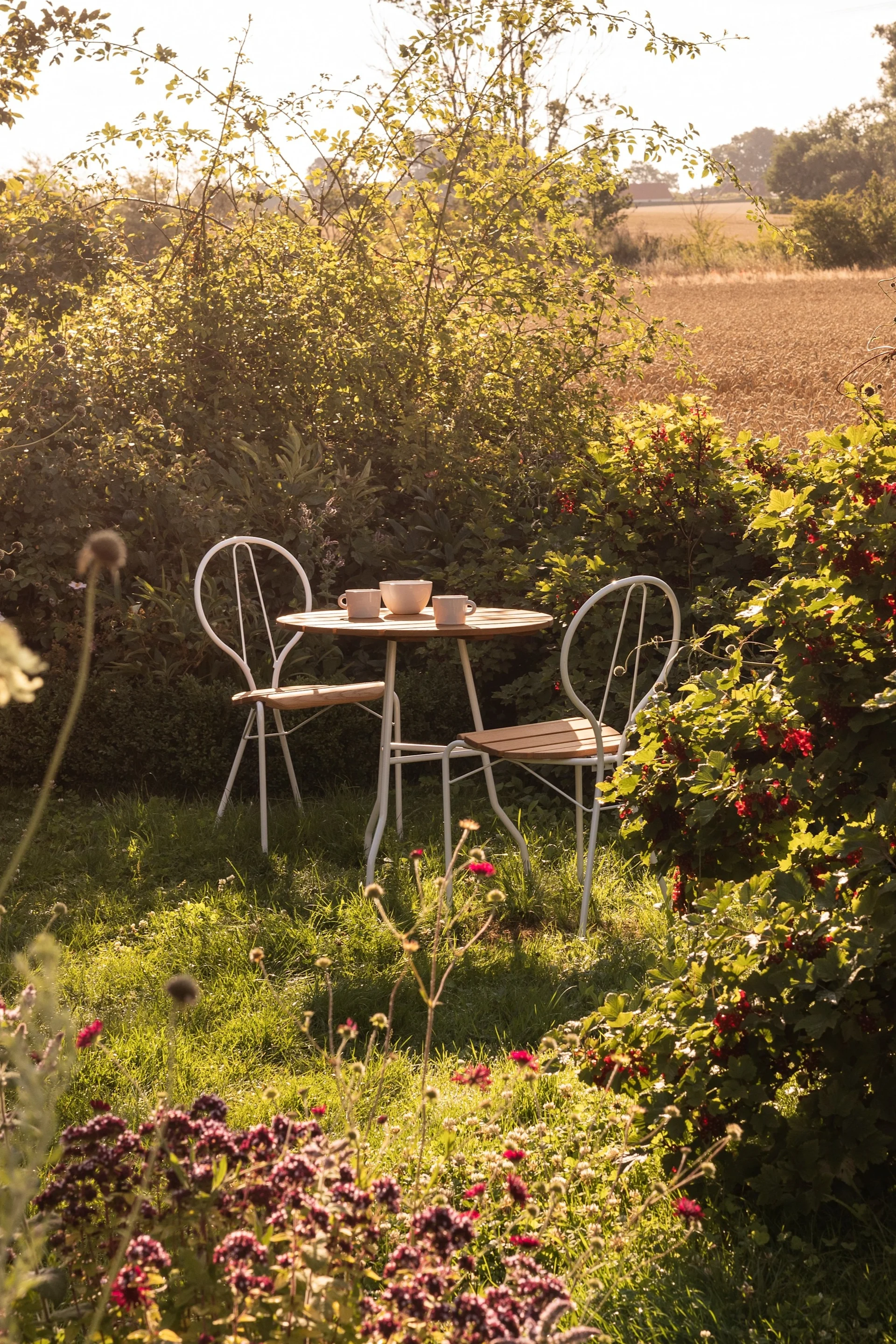 Tendances meubles de jardin 2025 : un magnifique jardin vert, au milieu duquel se trouvent la table et les deux chaises de la collection Pia de Gärsnäs.