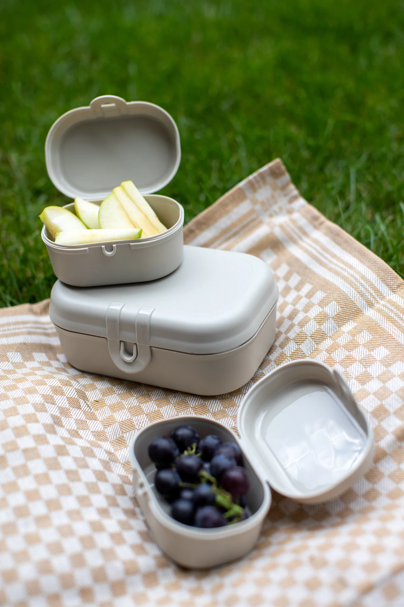 Trois boîtes à sandwich beige clair contenant des tranches de pomme et des raisins, posées sur une nappe de pique-nique à carreaux, dans l'herbe.