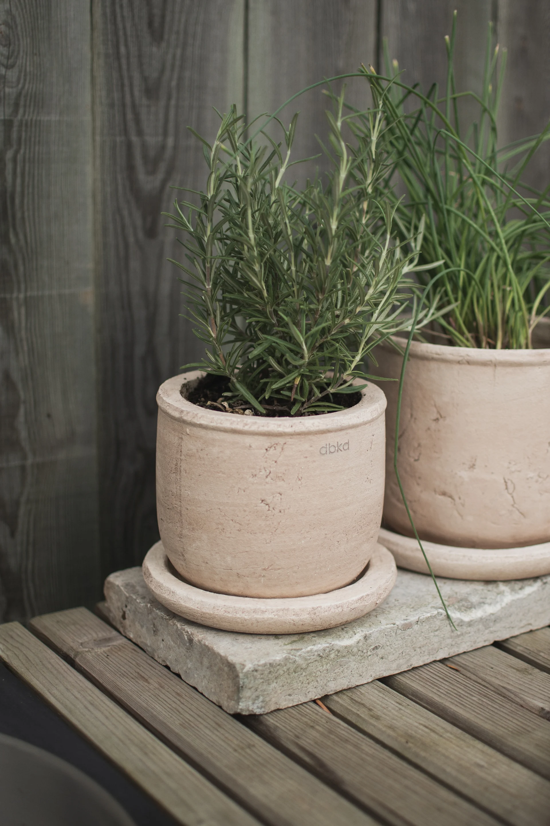 Plants de romarin et de ciboulette dans des pots en terre cuite texturés de couleur brun clair sur une dalle de pierre grise et une table en bois.