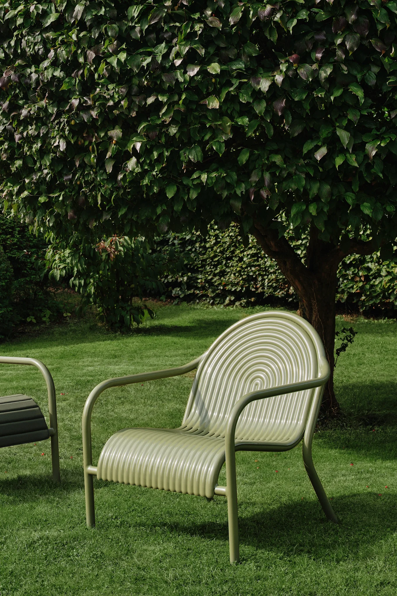 Chaise d'extérieur à lattes vert clair avec dossier incurvé et accoudoirs sur une pelouse verte, partiellement ombragée par un arbre.