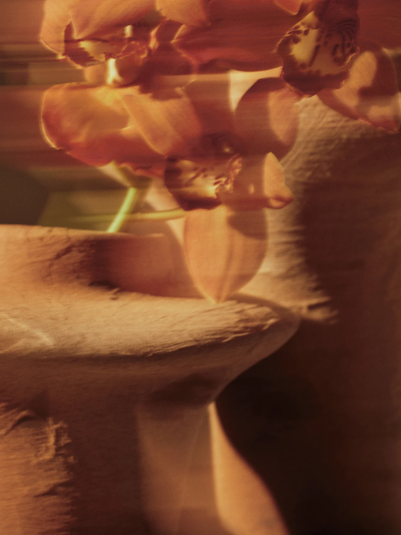 Image floue d'orchidées rouge-orange avec un flou artistique sur un fond texturé.