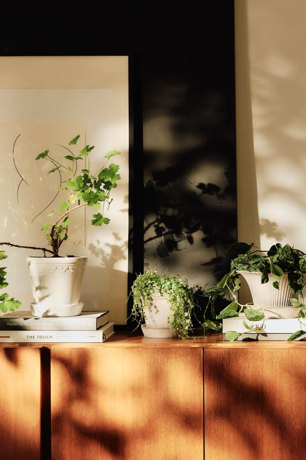 Les plantes complètent votre décoration bohème. Ici, vous pouvez voir différents pots de fleurs de Bergs Potter posés sur une commode.