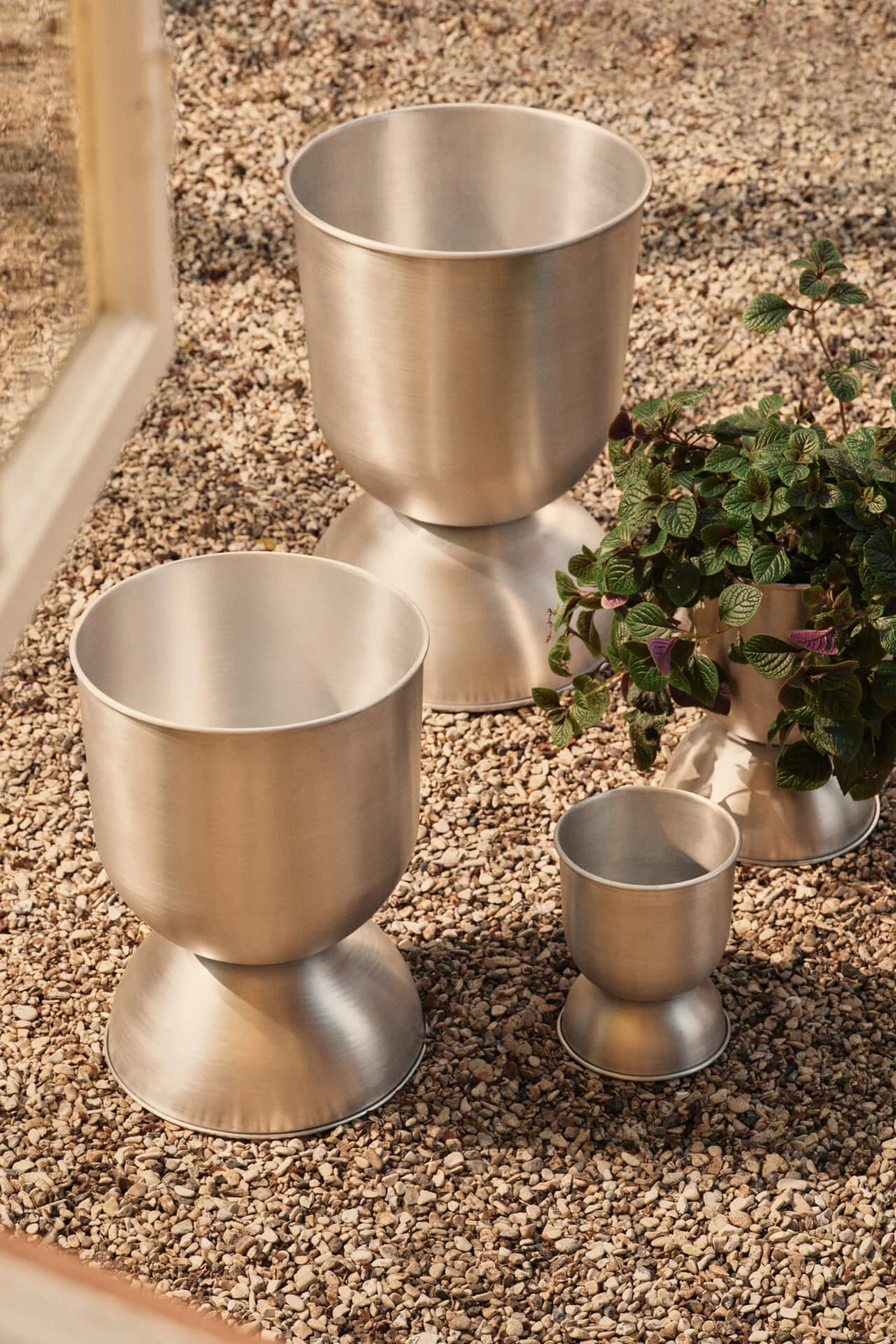 Trois jardinières en métal brossé de différentes tailles posées sur des galets, dont une contenant une plante verte.