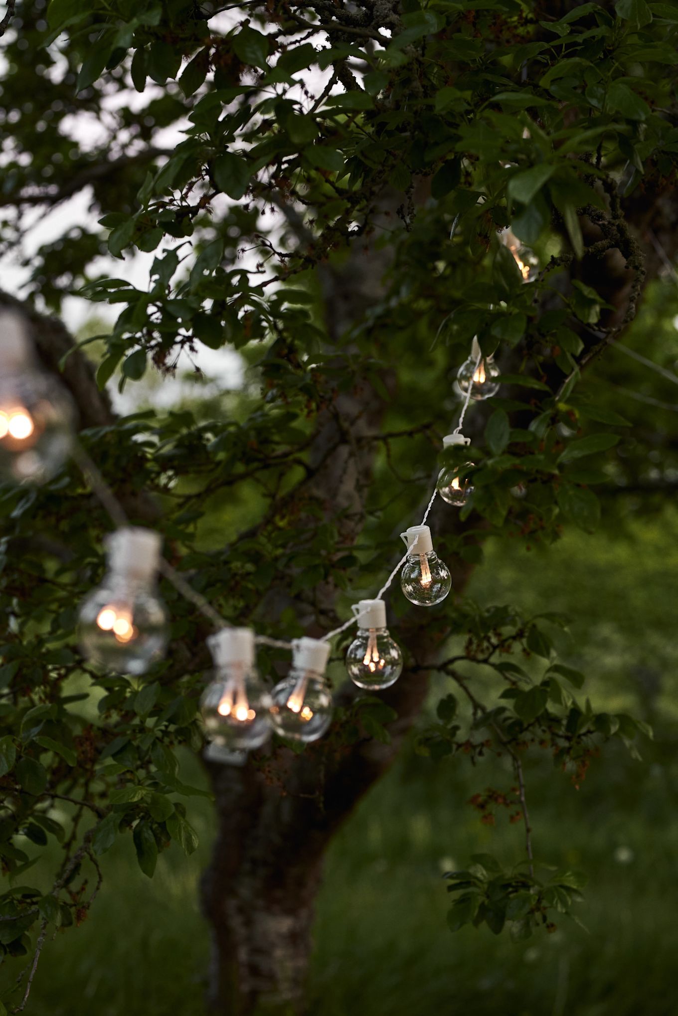 Les guirlandes lumineuses blanches Partaj de Star Trading ont été suspendues entre les arbres pour créer une lumière chaleureuse.