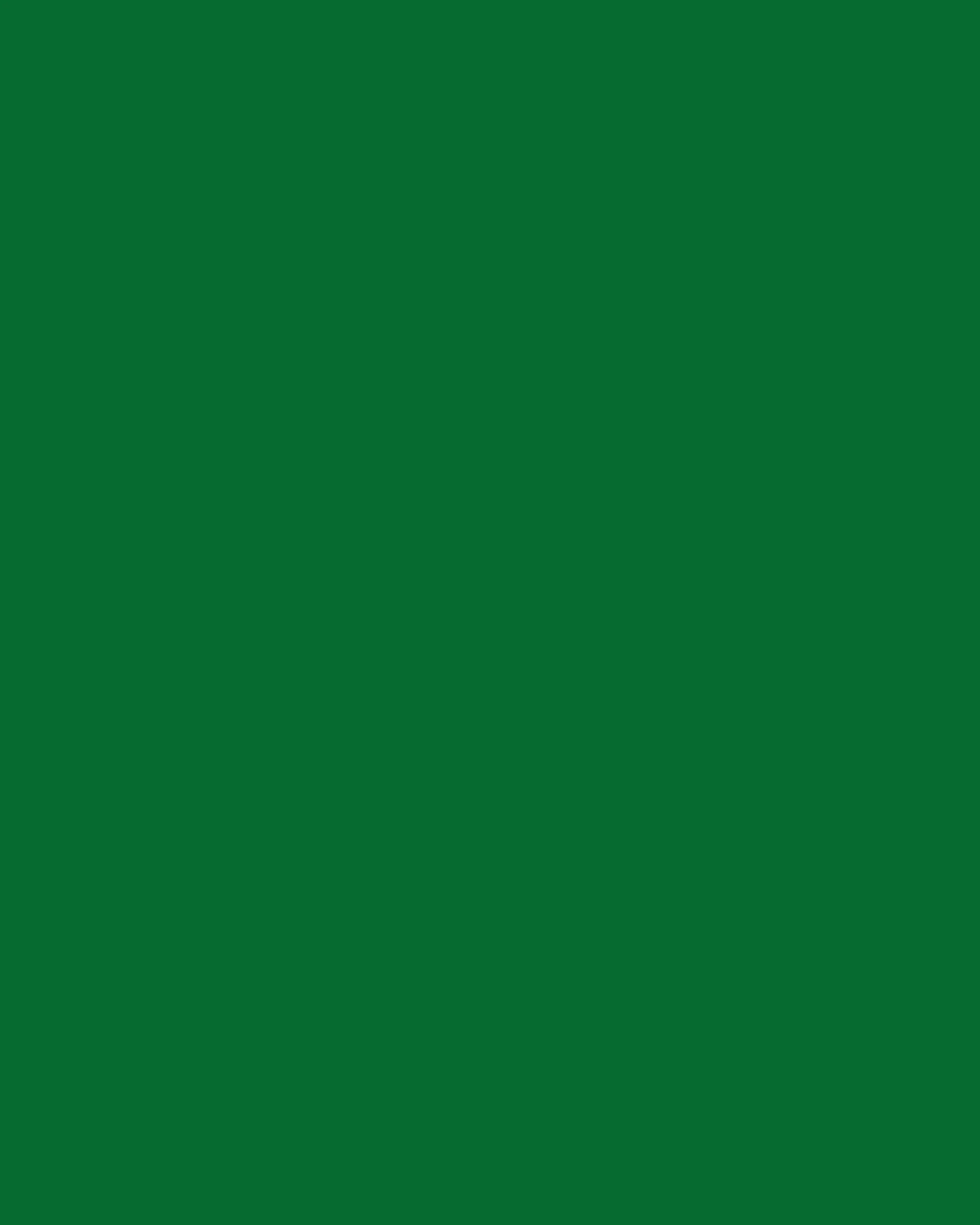 Fond vert foncé uni.