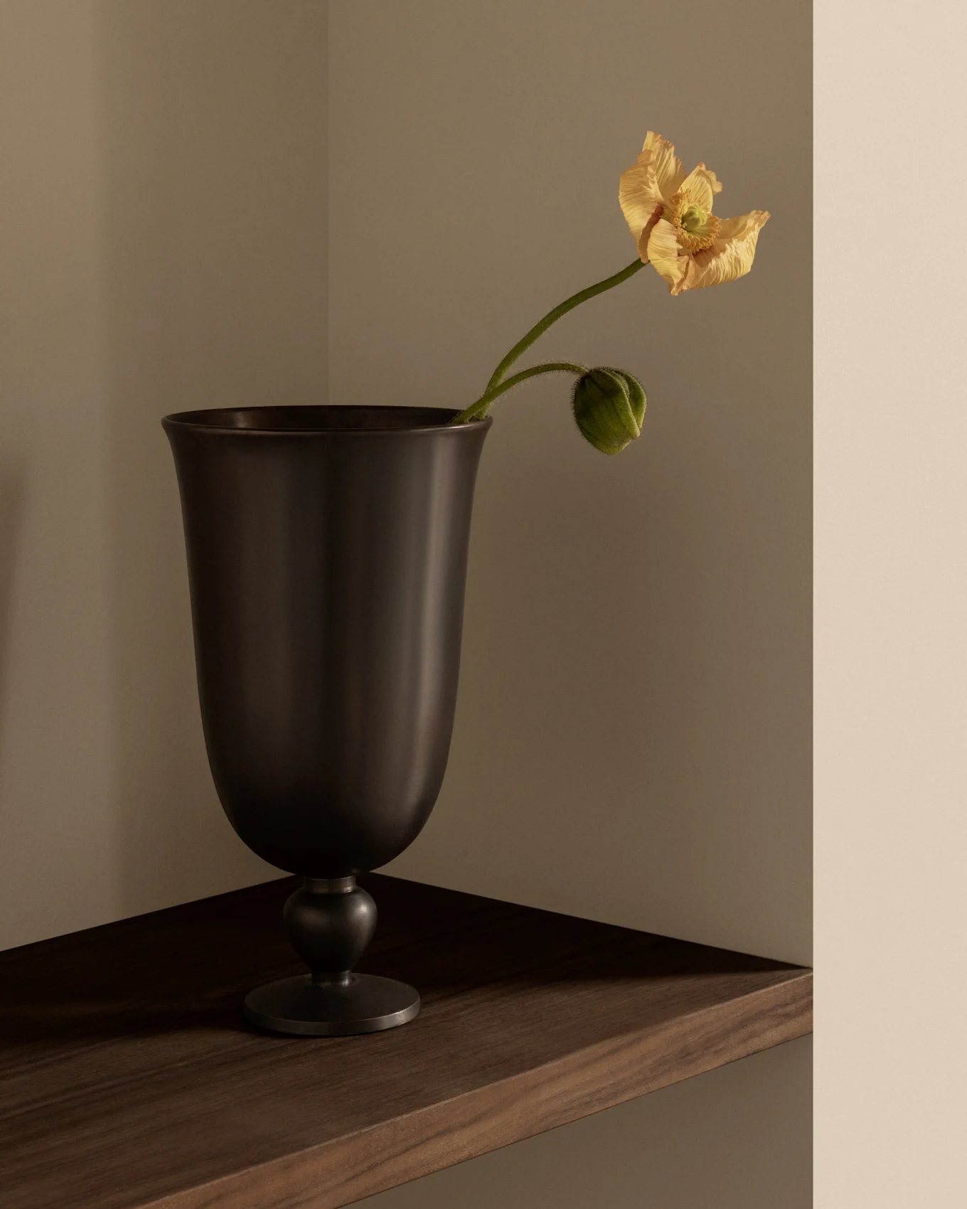 Vase évasé foncé sur une étagère d'angle en bois, contenant une fleur de pavot jaune clair et un bouton sur un mur beige.
