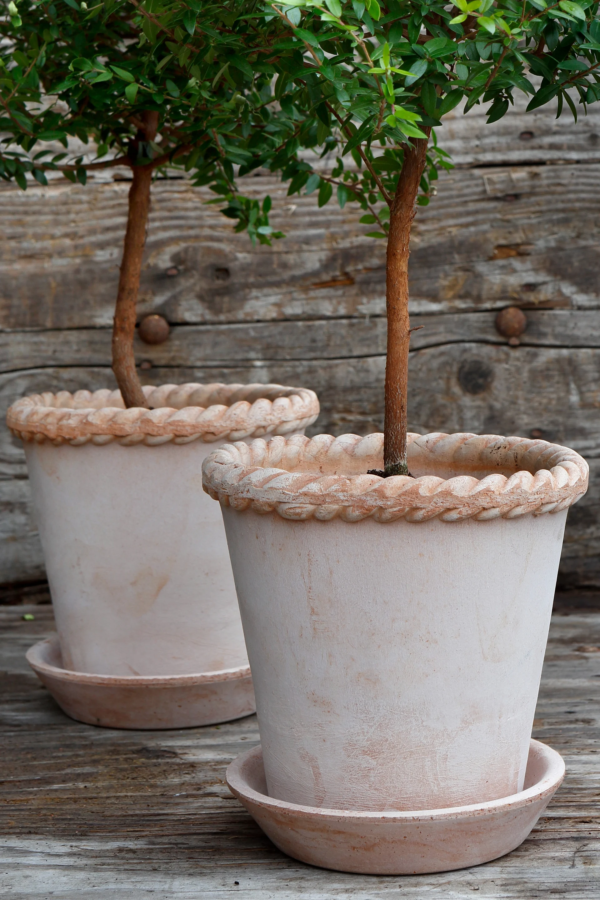Ici, vous voyez deux pots de fleurs Emilia roses de Bergs Potter avec un petit arbre à l'intérieur, posés sur une terrasse.