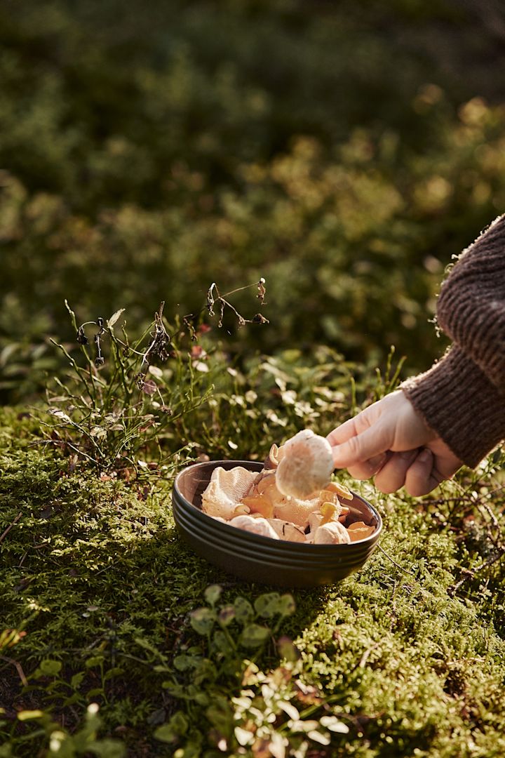 Dans notre liste de choses à faire en automne, nous vous donnons de nombreux conseils sur ce que vous pouvez faire en Scandinavie cet automne - par exemple, allez cueillir des champignons, surtout en septembre et octobre, cela en vaut la peine !
