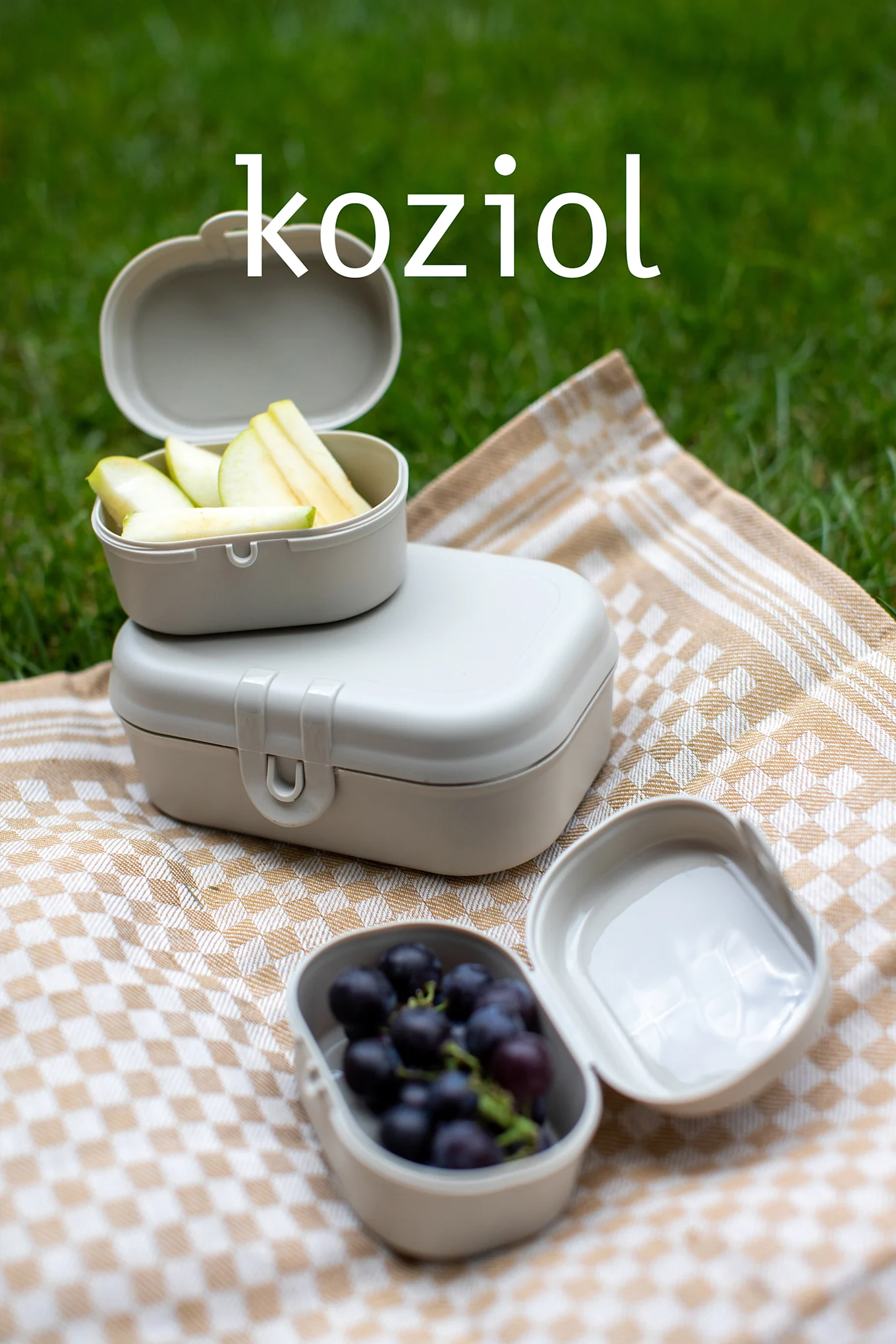 Trois boîtes alimentaires beige clair sur une couverture à carreaux avec des pommes et des raisins, sur l'herbe. Texte: koziol.
